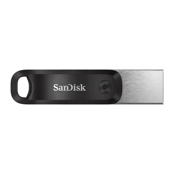 SanDisk SDIX60N-256G-GN6NE USB flash drive 256 GB 3.2 Gen 1 (3.1 Gen 1) Grey, Silver Grå, Sølv