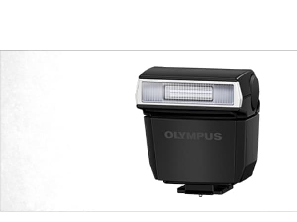 Olympus FL-LM3