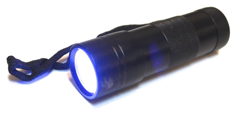 UV ficklampa