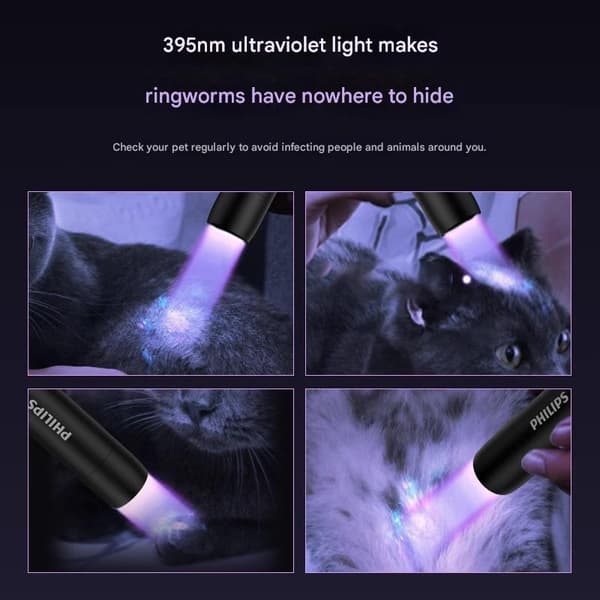 Philips kattmosslampa violett fackla svampdetektering ultraviolett specialljus