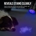 Miniatyrbillede 4 af 8: OBOSOE UV lommelygte med 100 LED'er - Large
