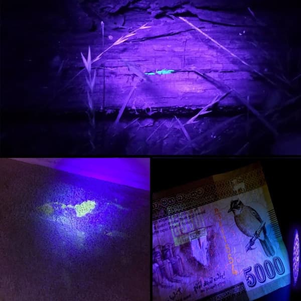 OBOSOE UV lommelygte med 100 LED'er - Large