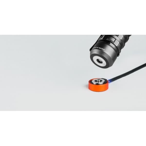 Nebo Torchy 2K -ficklampa