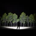 Miniatyrbillede 11 af 11: Lygte LED EDM 36170 180 W 18000 Lm