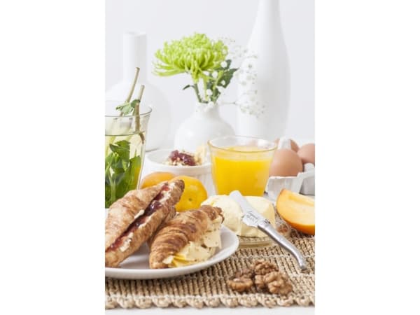 LAGUIOLE Butter knives Laguiole Stainless Steel SET 4 SdV