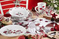 Miniatyrbild 4 av 4: Komplett service - Excelsa middagsservering - 64858 - Gnome Sweet Home 18-delat servisset, porslin