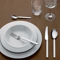 Miniatyrbild 3 av 4: Alessi Dry Bestickset 5 delar i 18/10 rostfritt stål polerat med satinhandtag - 4180S5
