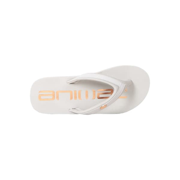 Animal Womens/Ladies Logo Recycled Flip Flops