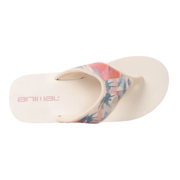 Animal Swish - återvunna flip-flops med palmträd för damer/damer