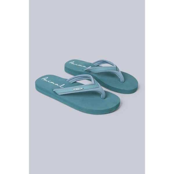 Animal Womens/Ladies Swish Recycled Flip Flops