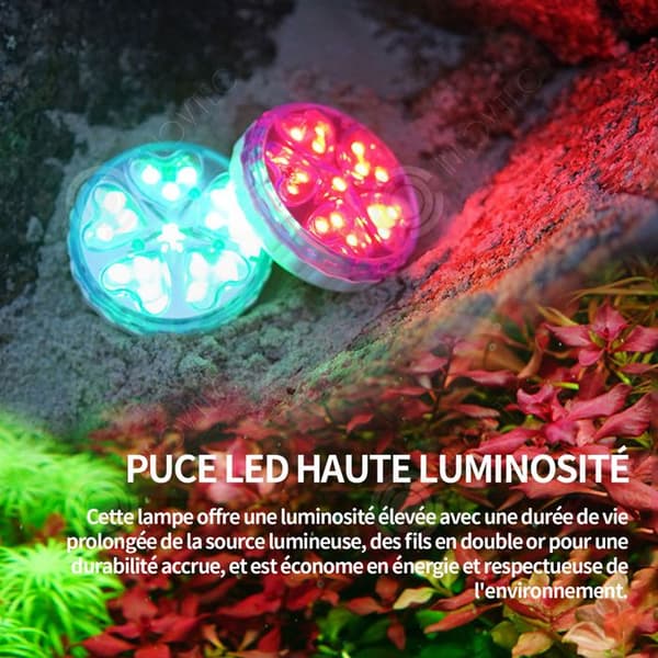 INN Simbassänglampa 2W undervattensljus simbassänglampa rostfritt stål färgglad spotlight fontänbelysning pisci belysning