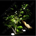 Miniatyrbild 3 av 4: TD® Solar Projection Lights Flood Lights Dubbla LED Spotlights Amfibie Undervattens dykljus