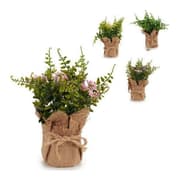 Decorative Plant Plastic (13 x 23 x 13 cm)