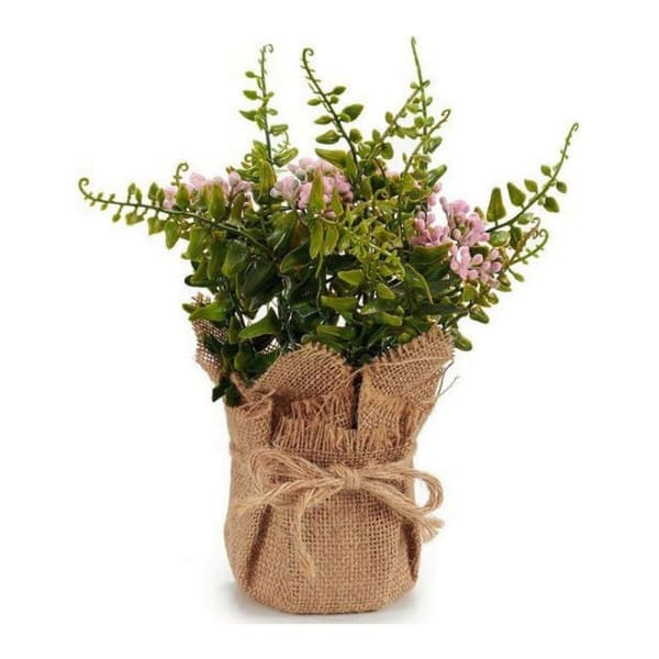 Decorative Plant Plastic (13 x 23 x 13 cm)