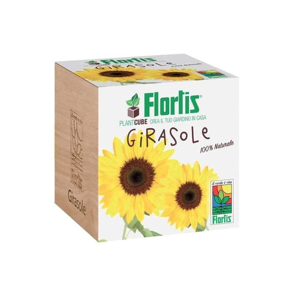 FLORTIS PLANTCUBE GIRASOLE 7,5X7,5X7,5 CM GIARDINAGGIO PIANTE FIORI