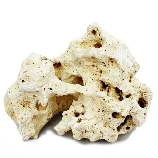 Zanzibar Rock Gr. L 18-22 cm
