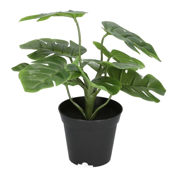 Plante | MONSTERA | kunstig | 29 cm | ALLE 972564