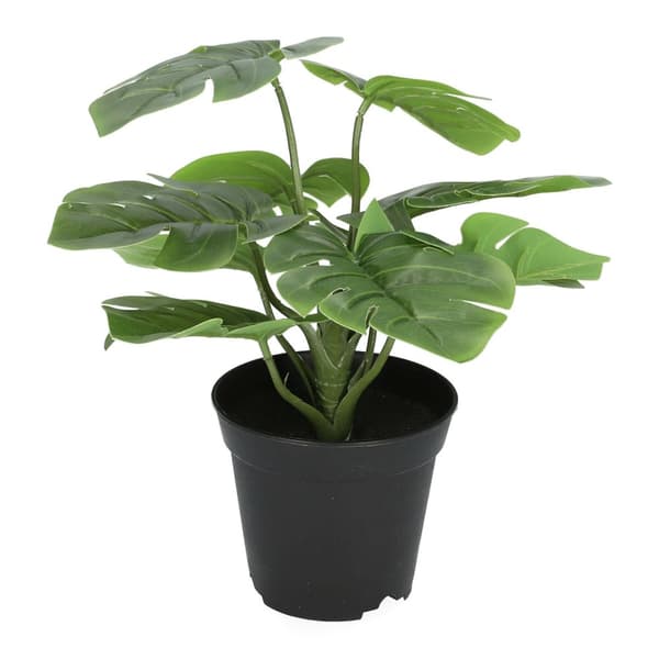 Plante | MONSTERA | kunstig | 29 cm | ALLE 972564