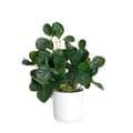 Miniatyrbillede 1 af 6: Kunstig plante | TROPISK ZONE | pepperomia | 43 cm | 882000