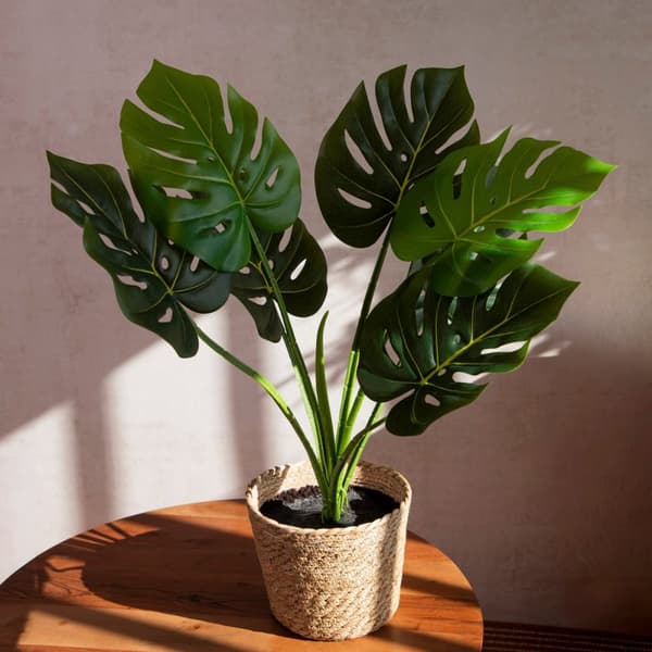 Kunstig plante | TROPISK ZONE | monstera i en sort gryde | 75 cm | 882024