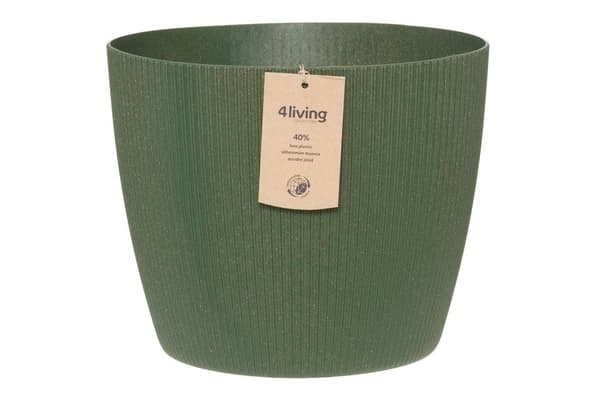 4Living Ytterkruka Magnolia ECO 30 cm grön