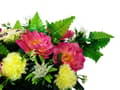 Miniatyrbild 2 av 4: BEGRAVNINGSSORTIMENT BLOMMOR TILL GRAVEN + DIN EGEN INSTRUKTION PÅ BÄRGEN