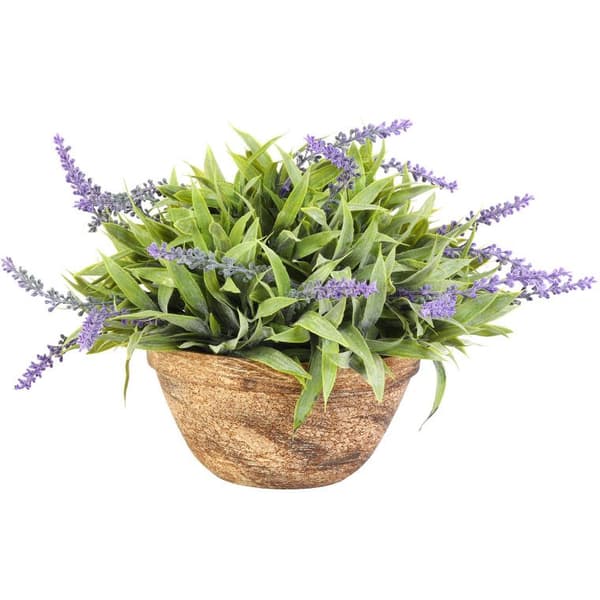 Lavendel i en lerkrukke 25 cm - Grøn interiørdekoration