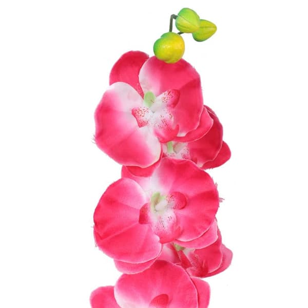 Rosa orkidégren, 68 cm