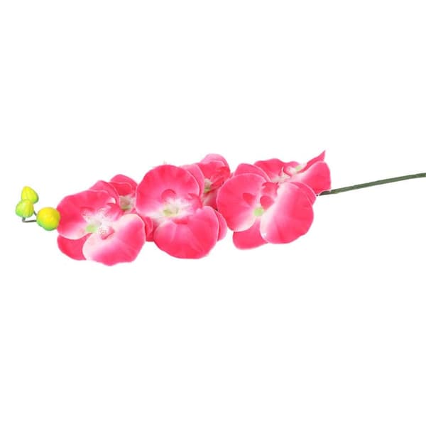Rosa orkidégren, 68 cm