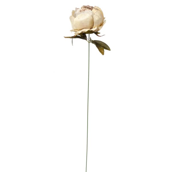 Creme pæon med guldglimmer - dekoration til sublime lejligheder 80 cm