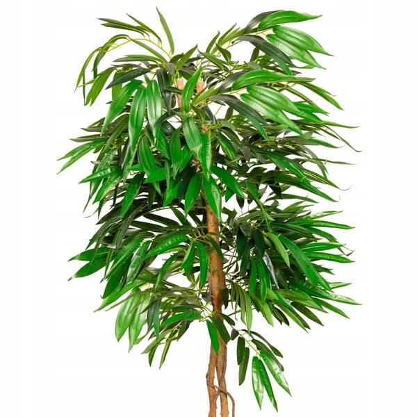 MANGO TREE konstgjorda PRYDNAD träd i en 180 CM kruka