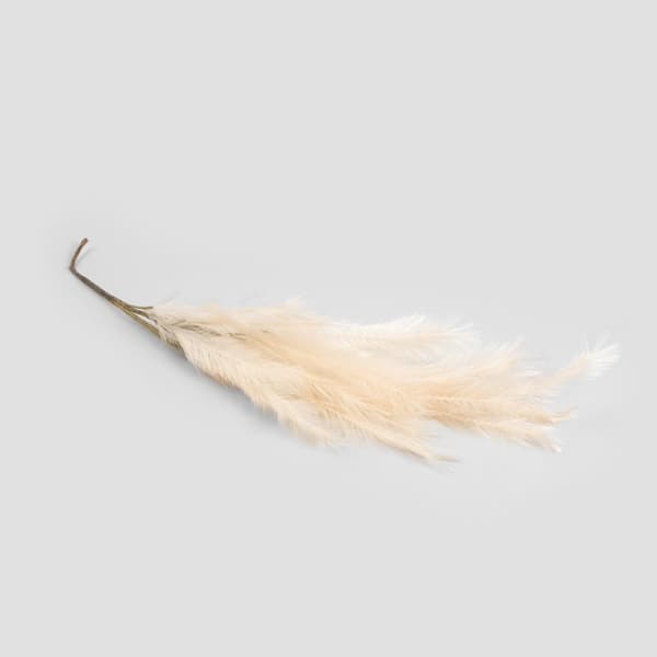 kvist | CANNE | konstgjord ecru | 100 cm | 991190