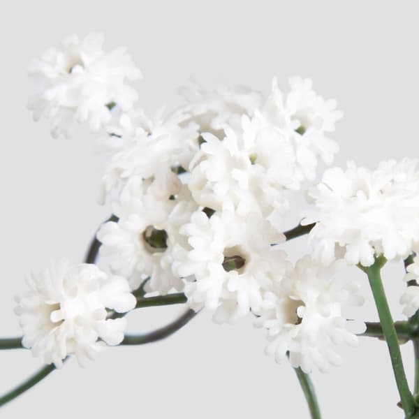 Kunstig gren | CLADEL | ecru | 61 cm | 804330