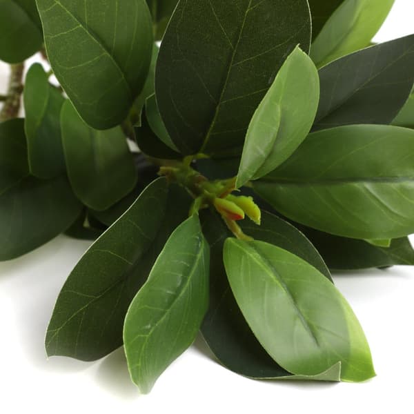 Konstgjord gren | EDERA | blad | 79 cm | 874135