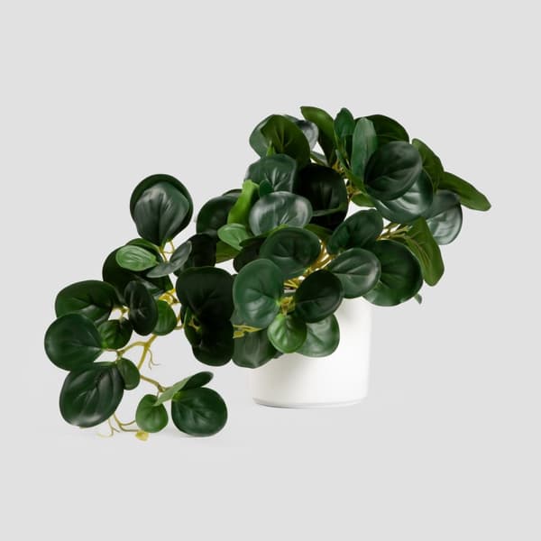 Kunstig plante | TROPISK ZONE | pepperomia | 30 cm | 882000