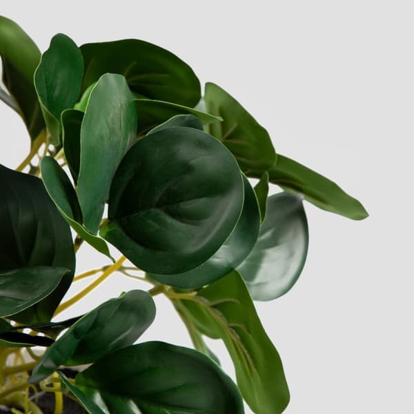 Kunstig plante | TROPISK ZONE | pepperomia | 30 cm | 882000