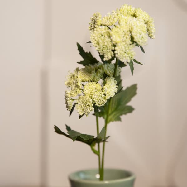 Kunstig gren | ANIS | anis gul | 48 cm | 875958