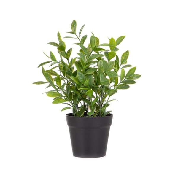 KONSTGIVNA KRUKVÄXT B2 ZAMIONA ESSENTIALS | B2 ERSÄTTNINGAR | 23 cm | | 887500