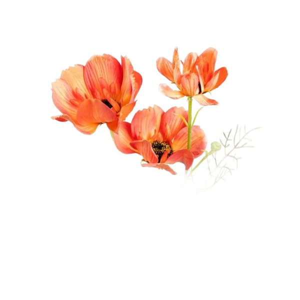 Kunstig gren | EMRA | orange valmuer | 76 cm | 738975