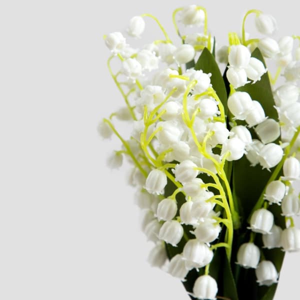 Bukett blommor | CONVALLIE | liljekonvaljer | 30 cm | 728839