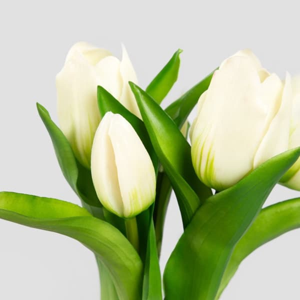 Buket blomster | LITEN | hvide tulipaner | 31 cm | 736629