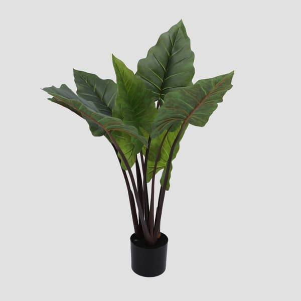 Kunstig plante | AILIA | taro | 80 cm | 321328