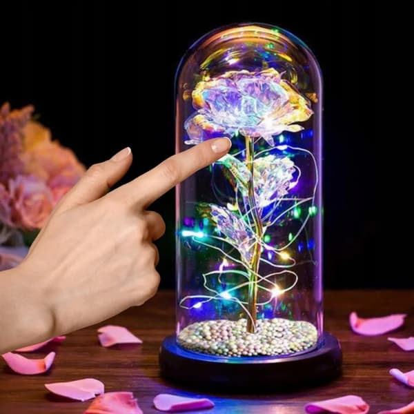Eternal Rose LED Valentinsdag Light Up Dome Gave Til Kvinder Dekoration