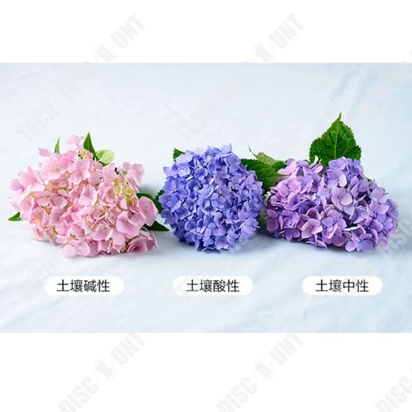 TD Hortensior 3st15-20cm Lövfällande buske Perenn växt Hortensia Trädgård Hemmakontor Trädgårdsdekoration Växter Bra