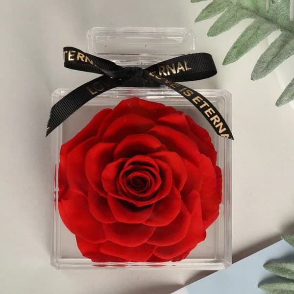 Eternal Flower Parfume Flaske, Ægte Rose, Perfekt til Hjemmedekoration,Rød Rose