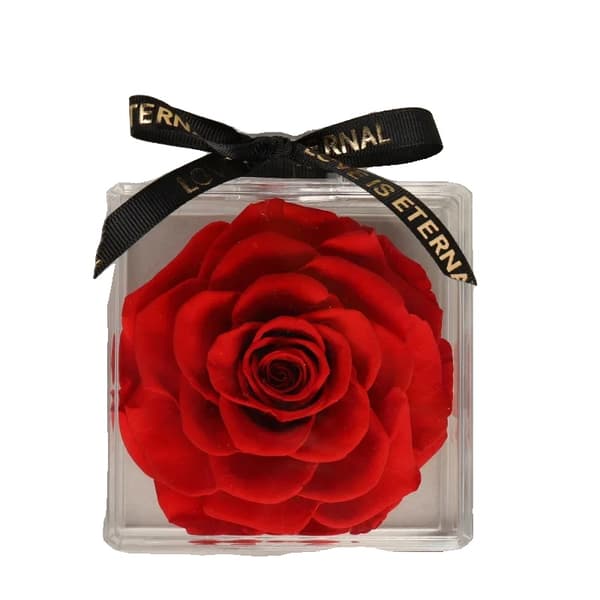 Eternal Flower Parfume Flaske, Ægte Rose, Perfekt til Hjemmedekoration,Rød Rose