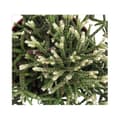Miniatyrbild 2 av 2: Exotenherz - Rhipsalis pilocarpa - kaktus korall - i 12 cm kruka