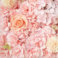 Miniatyrbild 5 av 6: OBOSOE 6-pack Konstblomsterpaneler - 38x38 cm Rosbakgrund i Skär, Bröllop bakgrund dekoration