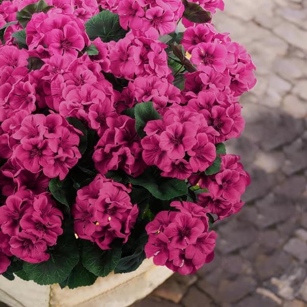 OBOSOE 6-pakkaus tekokukat/pelargoniat – UV-kestävät kukat ulkokäyttöön