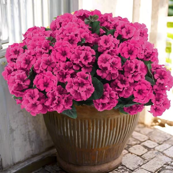 OBOSOE 6-pakkaus tekokukat/pelargoniat – UV-kestävät kukat ulkokäyttöön